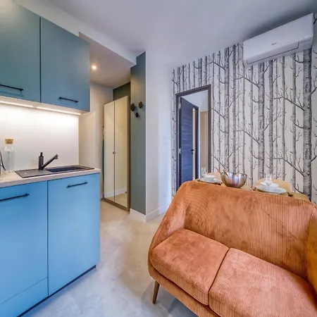 Apartamento Le Petit Spacieux 3 Grenoble